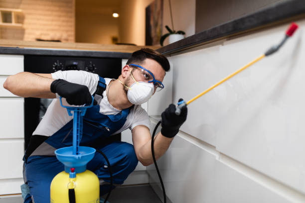Best Rat Extermination Near Me  in North Merrick, NY