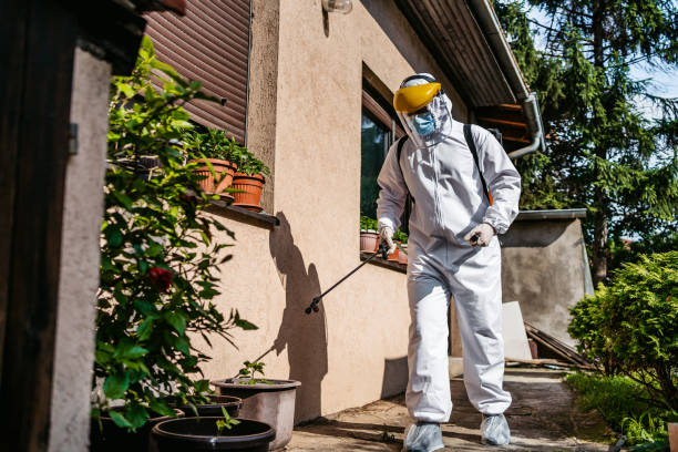 Best Pest Prevention Services  in North Merrick, NY