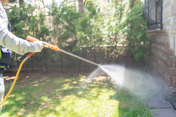 Best Wasp Removal Services  in North Merrick, NY